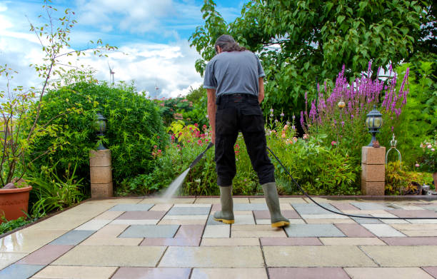 Animal Enclosure Cleaning in Vancouver, WA